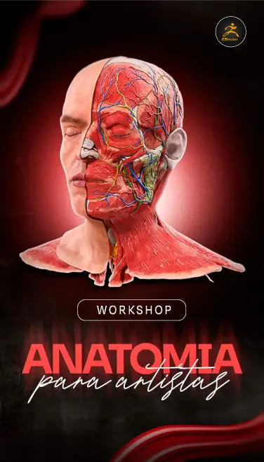 ANATOMIA