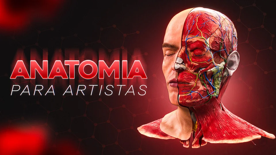 anatomia capa hr
